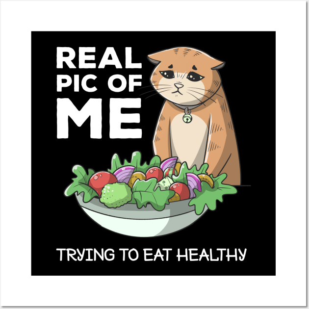 Funny Diet Cat Weightloss Fasting Gym Workout Fitness Health Wall Art by TellingTales